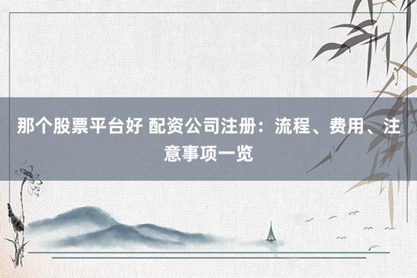 那个股票平台好 配资公司注册：流程、费用、注意事项一览