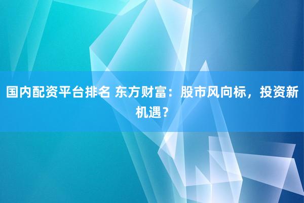国内配资平台排名 东方财富：股市风向标，投资新机遇？
