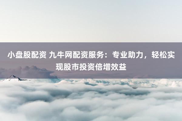 小盘股配资 九牛网配资服务：专业助力，轻松实现股市投资倍增效益
