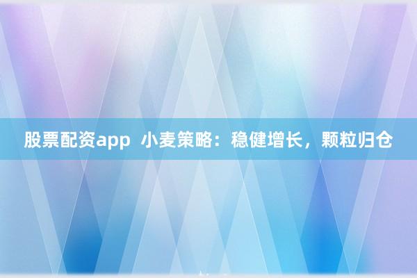 股票配资app  小麦策略：稳健增长，颗粒归仓