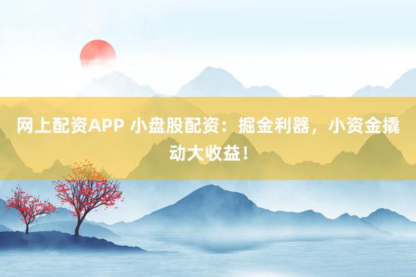 网上配资APP 小盘股配资：掘金利器，小资金撬动大收益！