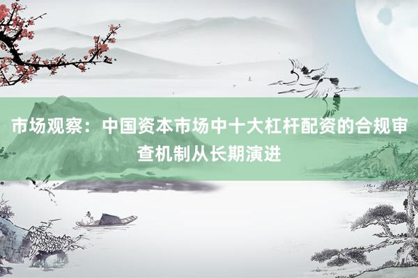 市场观察：中国资本市场中十大杠杆配资的合规审查机制从长期演进