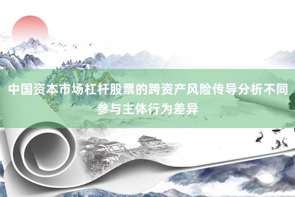 中国资本市场杠杆股票的跨资产风险传导分析不同参与主体行为差异