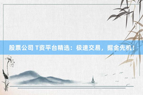 股票公司 T资平台精选：极速交易，掘金先机！