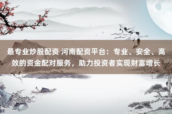 最专业炒股配资 河南配资平台：专业、安全、高效的资金配对服务，助力投资者实现财富增长