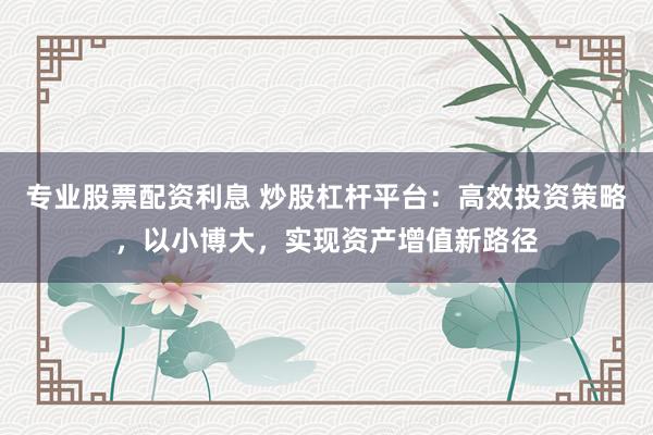 专业股票配资利息 炒股杠杆平台：高效投资策略，以小博大，实现资产增值新路径