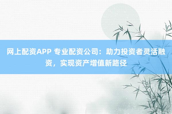 网上配资APP 专业配资公司:助力投资者灵活融资,实现资产增值新路径